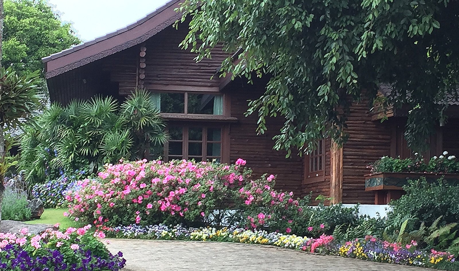 the most beautiful landscaped flower garden in thailand. - journal